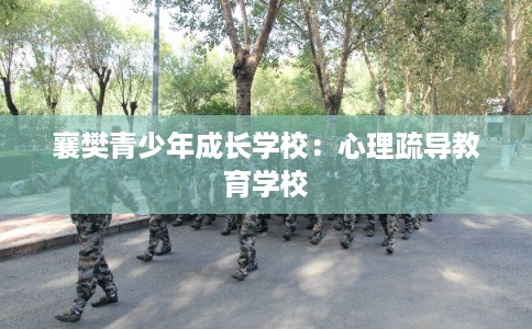 襄樊青少年成长学校：心理疏导教育学校