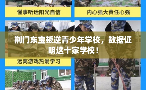 荆门东宝叛逆青少年学校,数据证明这十家学校! 荆门东宝叛逆青少年学校,数据证明这十家学校!
