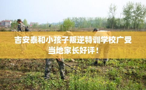吉安泰和小孩子叛逆特训学校广受当地家长好评! 吉安泰和小孩子叛逆特训学校广受当地家长好评!
