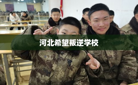 河北希望叛逆学校