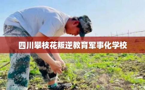 四川攀枝花叛逆教育军事化学校 四川攀枝花叛逆教育军事化学校