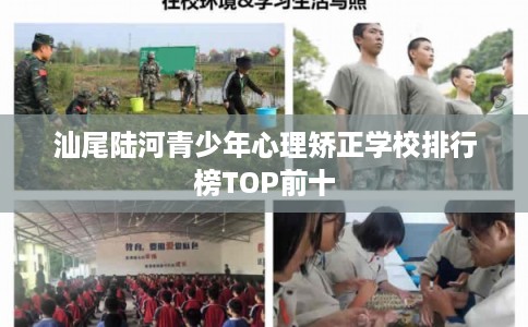 汕尾陆河青少年心理矫正学校排行榜TOP前十