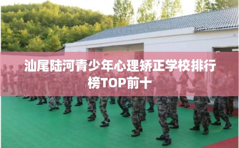 汕尾陆河青少年心理矫正学校排行榜TOP前十