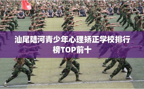 汕尾陆河青少年心理矫正学校排行榜TOP前十
