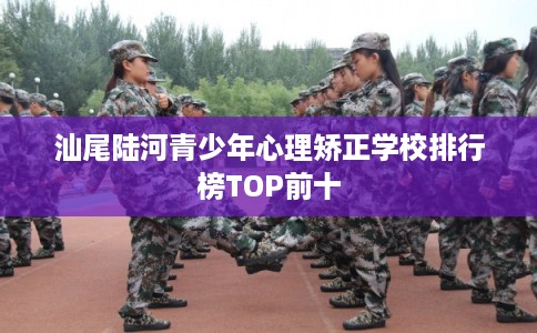 汕尾陆河青少年心理矫正学校排行榜TOP前十