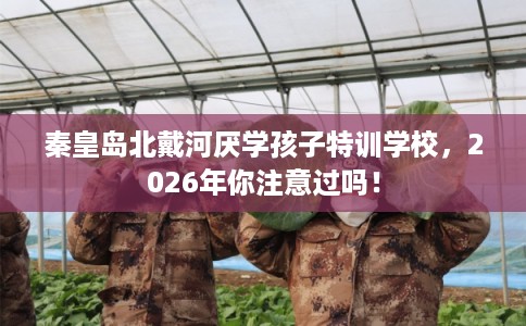 秦皇岛北戴河厌学孩子特训学校，2026年你注意过吗！