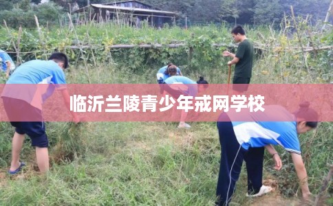 临沂兰陵青少年戒网学校