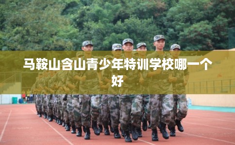 马鞍山含山青少年特训学校哪一个好