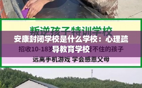 安康封闭学校是什么学校：心理疏导教育学校