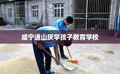 咸宁通山厌学孩子教育学校