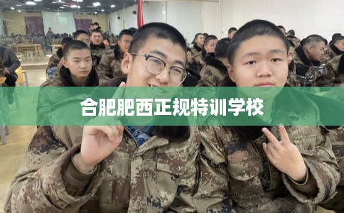 合肥肥西正规特训学校 合肥肥西正规特训学校