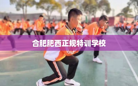 合肥肥西正规特训学校