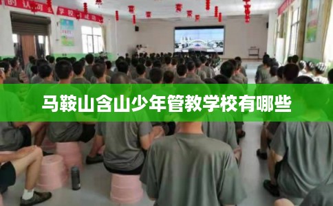马鞍山含山少年管教学校有哪些 马鞍山含山少年管教学校有哪些