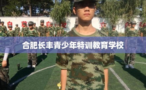 合肥长丰青少年特训教育学校 合肥长丰青少年特训教育学校