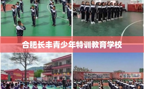 合肥长丰青少年特训教育学校 合肥长丰青少年特训教育学校
