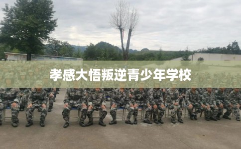 孝感大悟叛逆青少年学校 孝感大悟叛逆青少年学校
