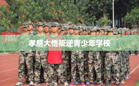 孝感大悟叛逆青少年学校 孝感大悟叛逆青少年学校