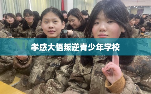 孝感大悟叛逆青少年学校 孝感大悟叛逆青少年学校