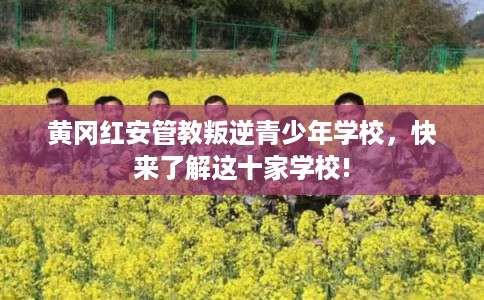 黄冈红安管教叛逆青少年学校，快来了解这十家学校!