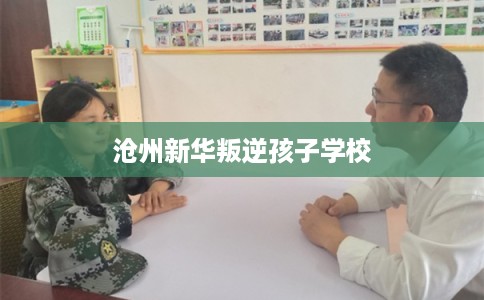 沧州新华叛逆孩子学校