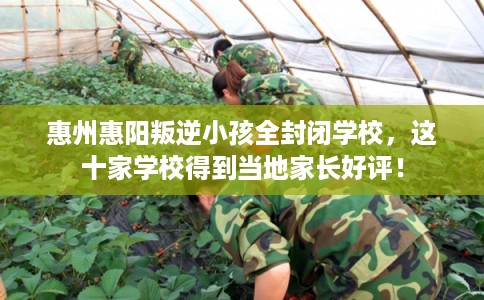 惠州惠阳叛逆小孩全封闭学校，这十家学校得到当地家长好评！
