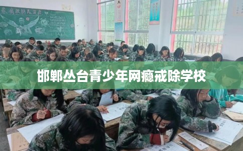 邯郸丛台青少年网瘾戒除学校