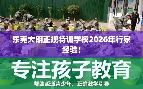 东莞大朗正规特训学校2026年行家经验！