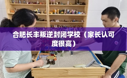 合肥长丰叛逆封闭学校（家长认可度很高）