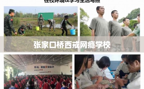 张家口桥西戒网瘾学校