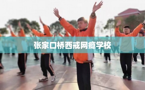 张家口桥西戒网瘾学校