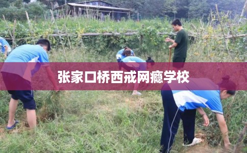 张家口桥西戒网瘾学校