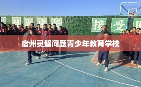 宿州灵璧问题青少年教育学校