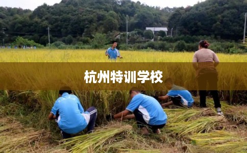 杭州特训学校
