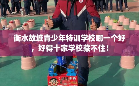 衡水故城青少年特训学校哪一个好，好得十家学校藏不住！