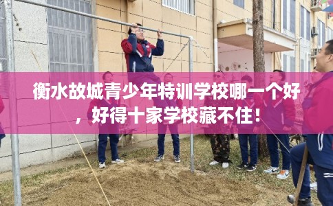 衡水故城青少年特训学校哪一个好，好得十家学校藏不住！