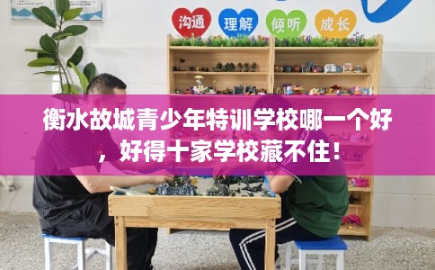衡水故城青少年特训学校哪一个好，好得十家学校藏不住！