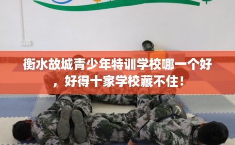 衡水故城青少年特训学校哪一个好，好得十家学校藏不住！