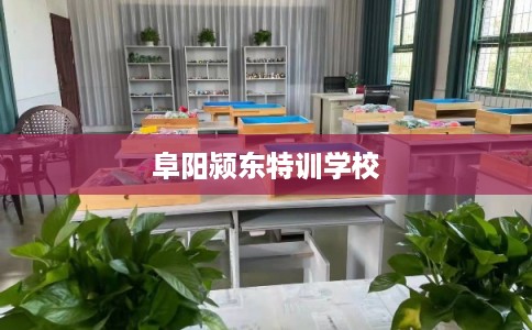 阜阳颍东特训学校