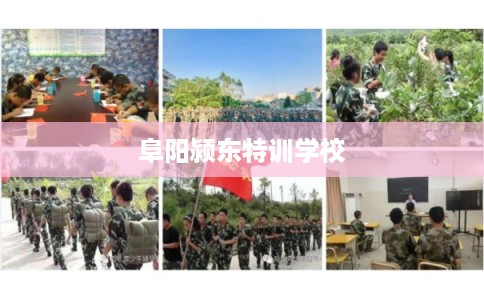 阜阳颍东特训学校