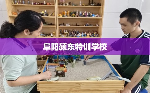 阜阳颍东特训学校