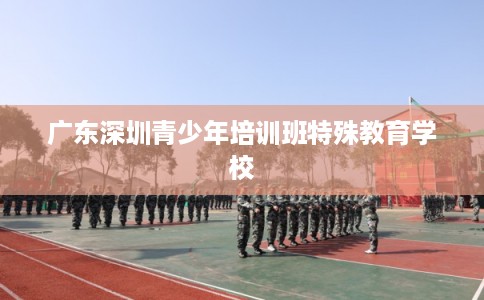 广东深圳青少年培训班特殊教育学校