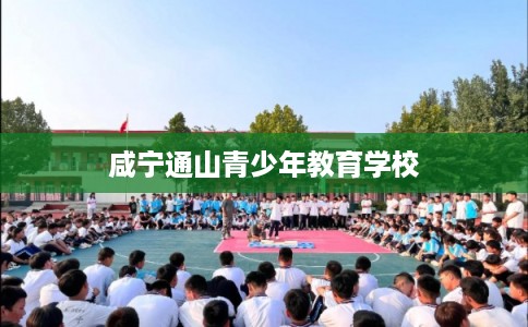 咸宁通山青少年教育学校