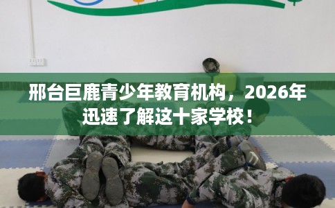 邢台巨鹿青少年教育机构，2026年迅速了解这十家学校！