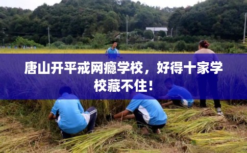 唐山开平戒网瘾学校，好得十家学校藏不住！