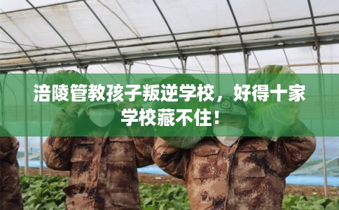涪陵管教孩子叛逆学校，好得十家学校藏不住！
