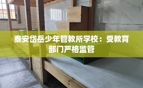 泰安岱岳少年管教所学校：受教育部门严格监管