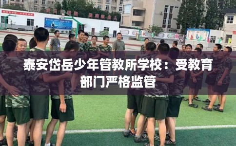 泰安岱岳少年管教所学校：受教育部门严格监管