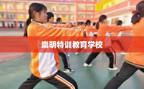 崇明特训教育学校