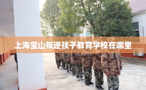 上海宝山叛逆孩子教育学校在哪里