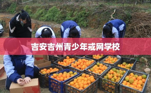 吉安吉州青少年戒网学校
